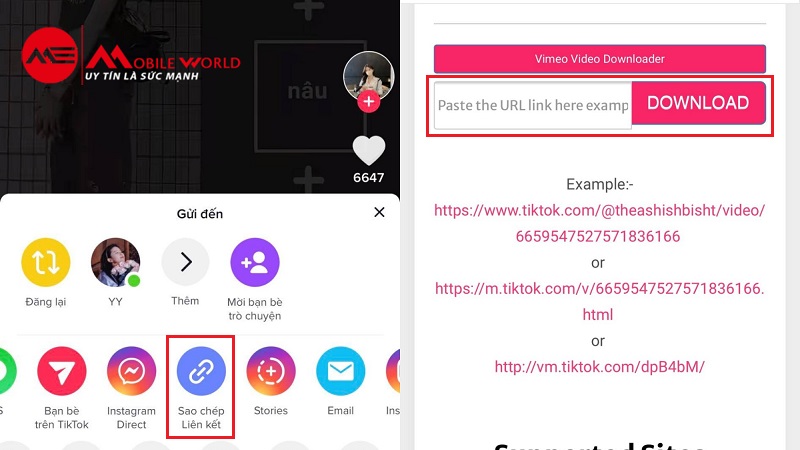 Tải video Tiktok không logo với Expert PHP