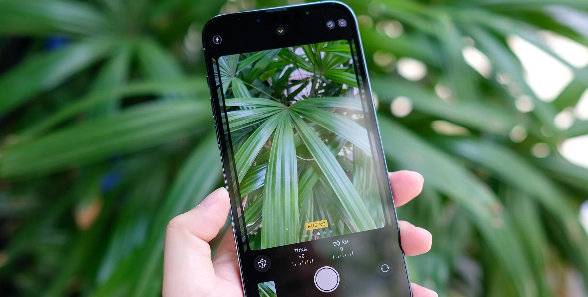 10 Cách chỉnh camera iPhone 12 Pro Max để có bức ảnh xịn sò