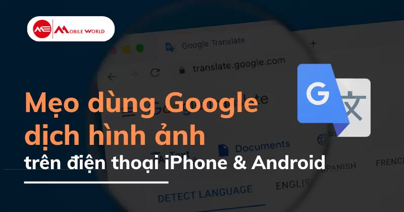 Mẹo dùng Google dịch hình ảnh trên điện thoại iPhone & Android