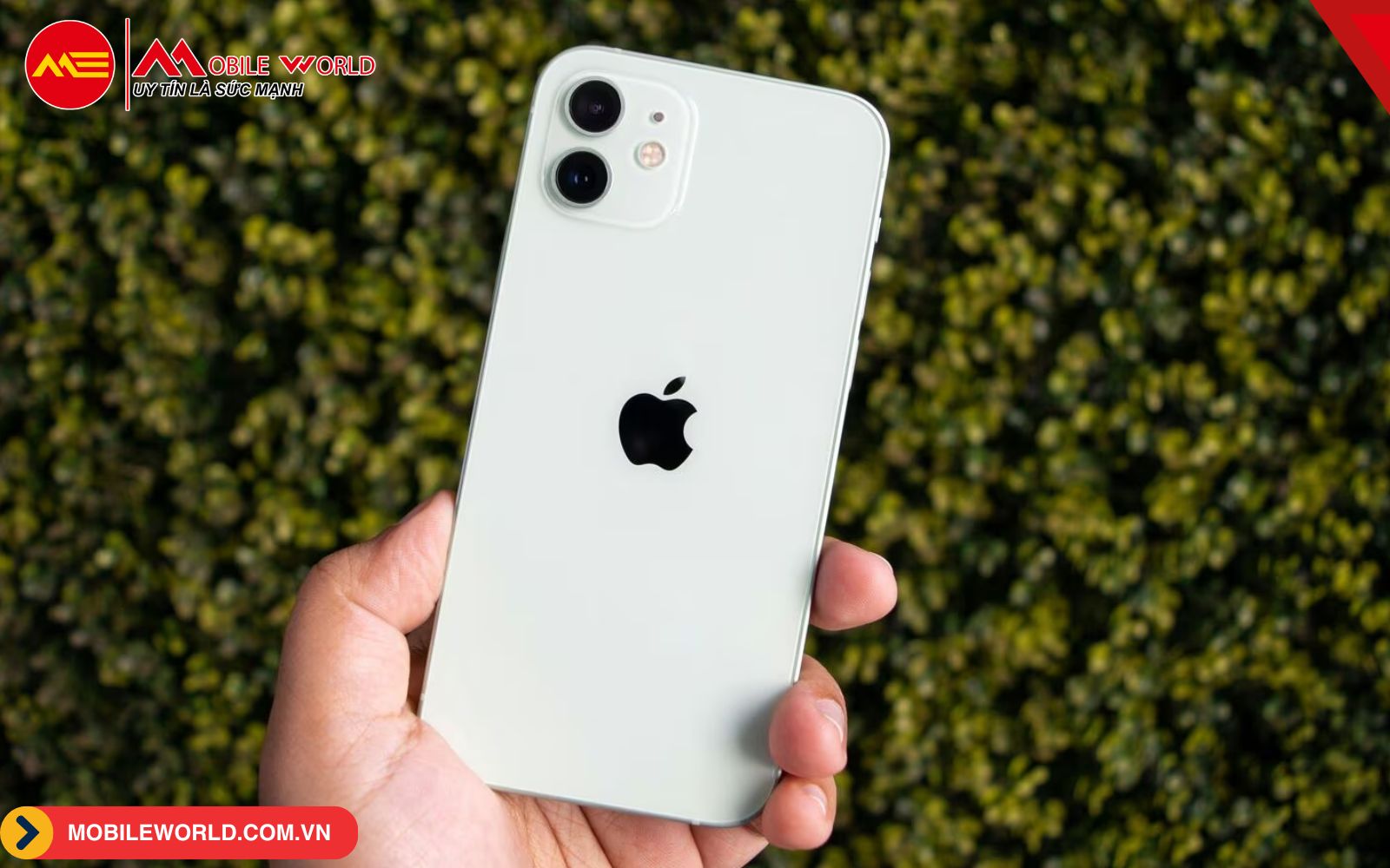pixel-9-va-iphone-16-so-sanh-duoi-goc-nhin-chuyen-gia-05-mobileworld-com-vn