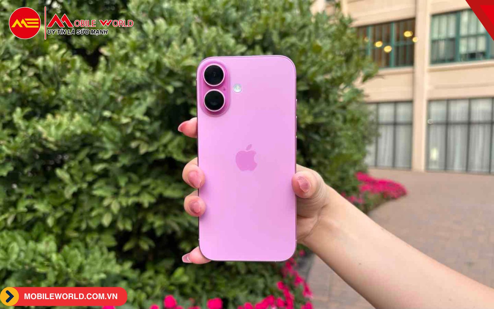 pixel-9-va-iphone-16-so-sanh-duoi-goc-nhin-chuyen-gia-06-mobileworld-com-vn