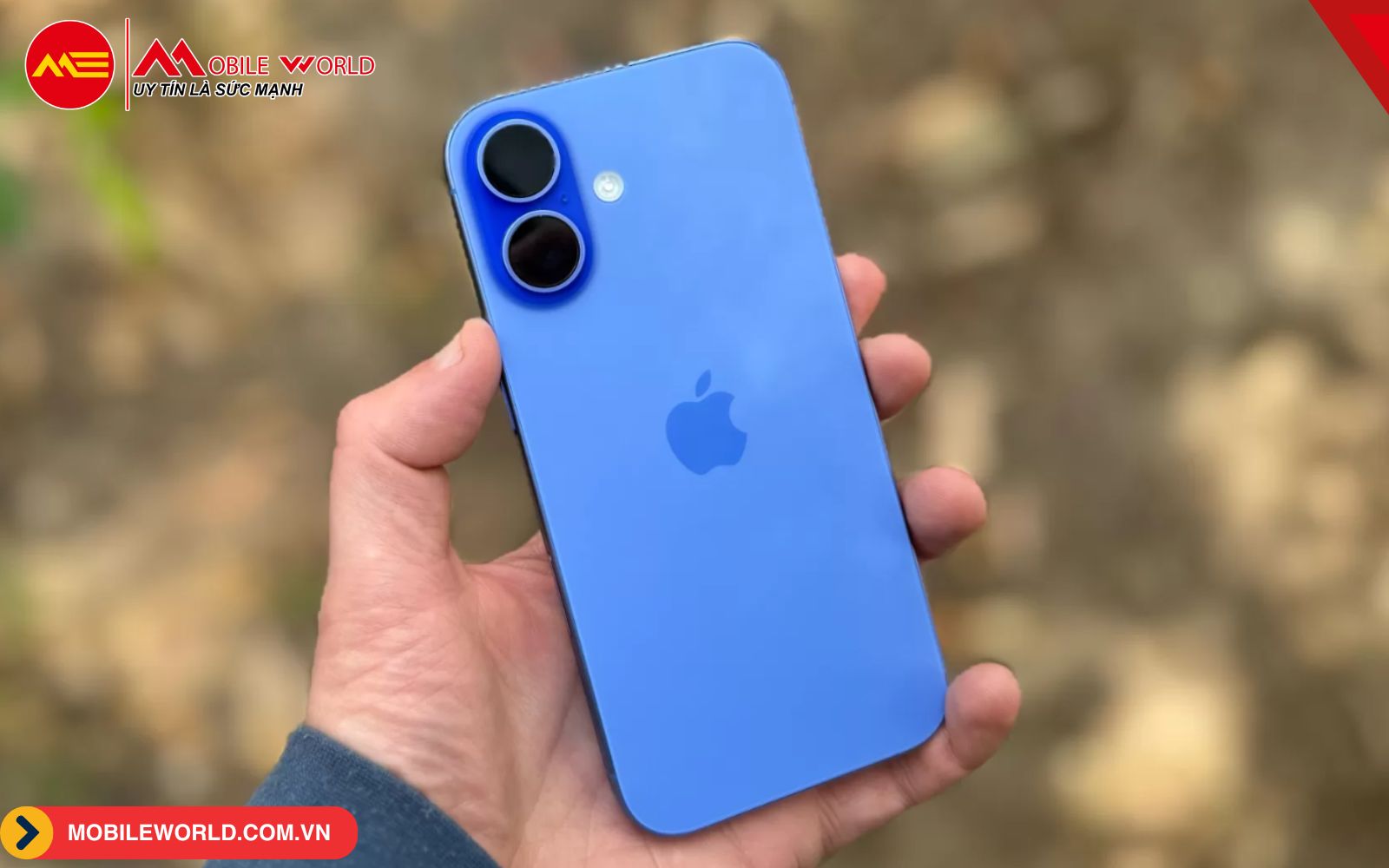 pixel-9-va-iphone-16-so-sanh-duoi-goc-nhin-chuyen-gia-08-mobileworld-com-vn