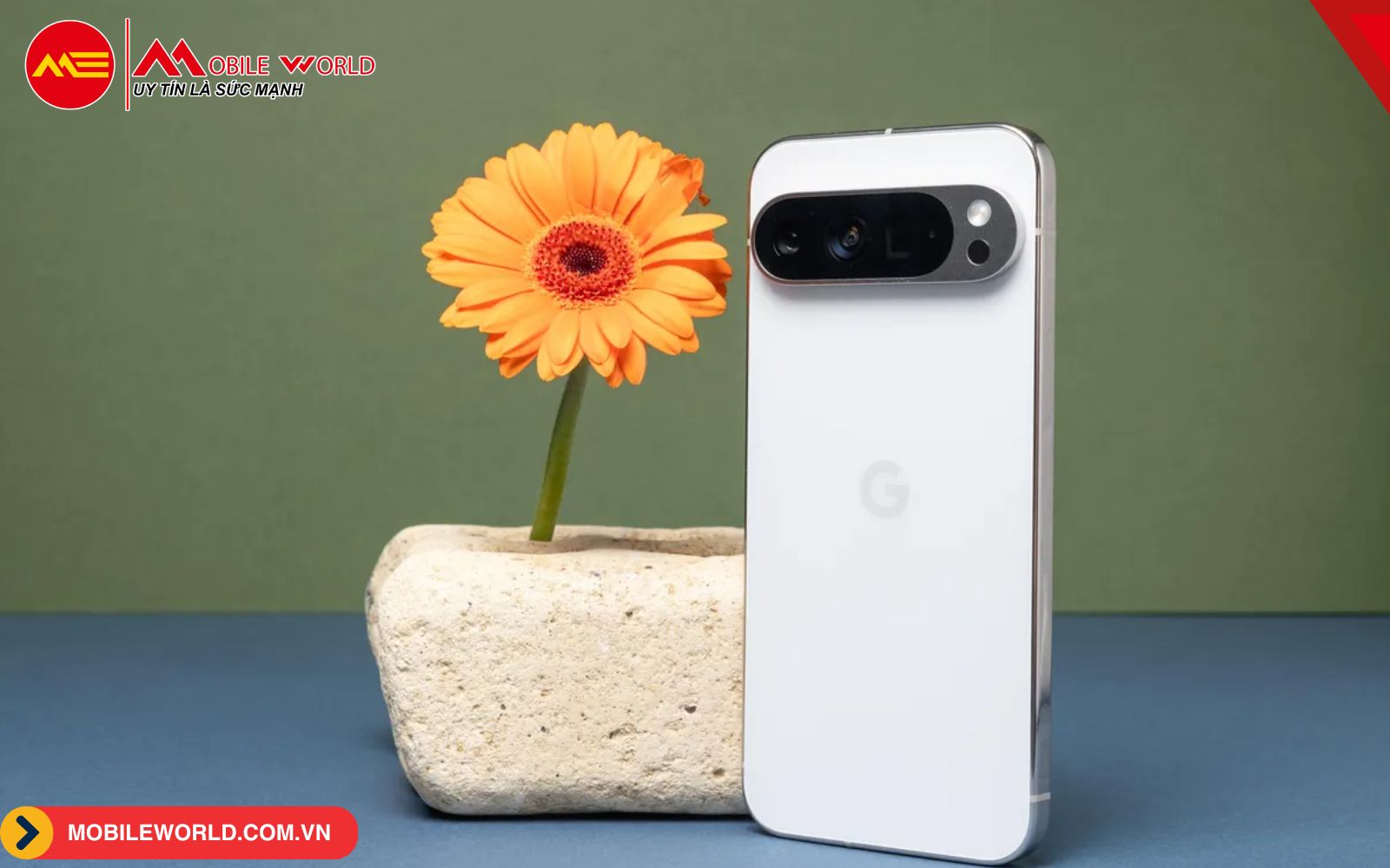 review-pixel-9-pro-xl-camera-va-ai-dinh-cao-03-mobileworld-com-vn