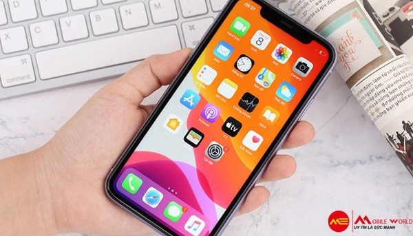 5 Điều cần kiểm tra khi mua iPhone 11 Like New