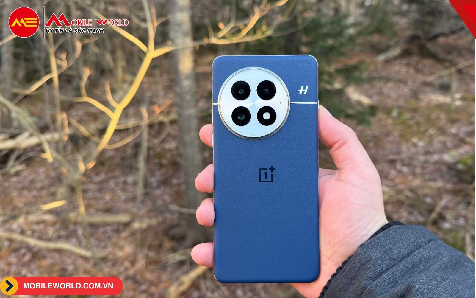 OnePlus 13