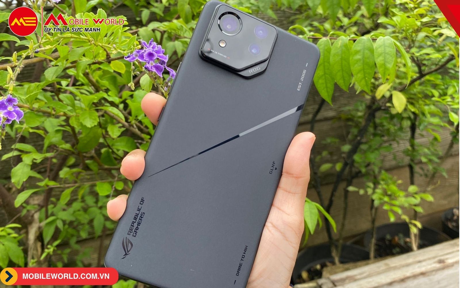 Asus ROG Phone 8