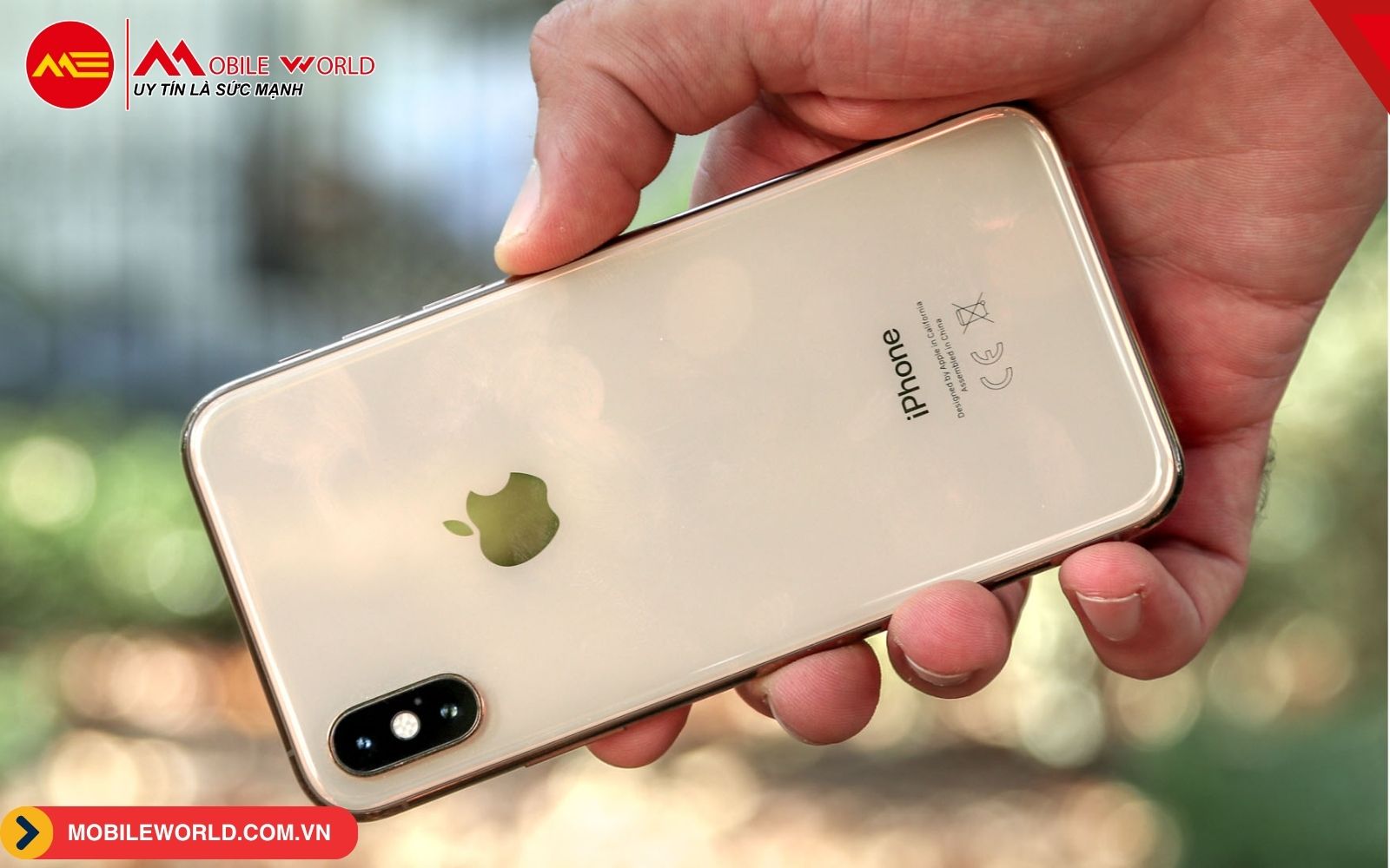 iPhone XS Max