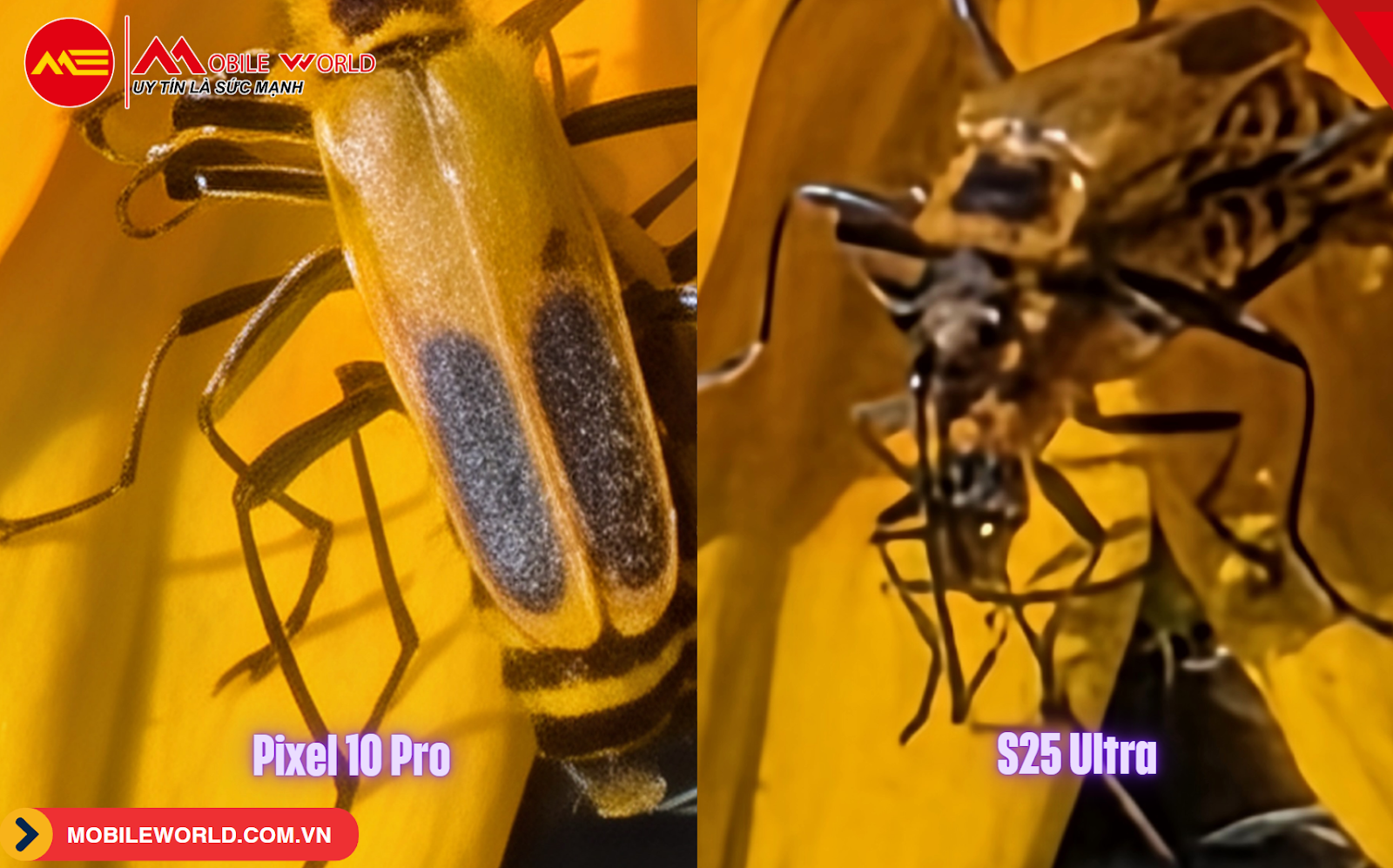 do-camera-pixel-10-pro-vs-s25-ultra-flagship-nao-dan-dau-09-mobileworld-com-vn