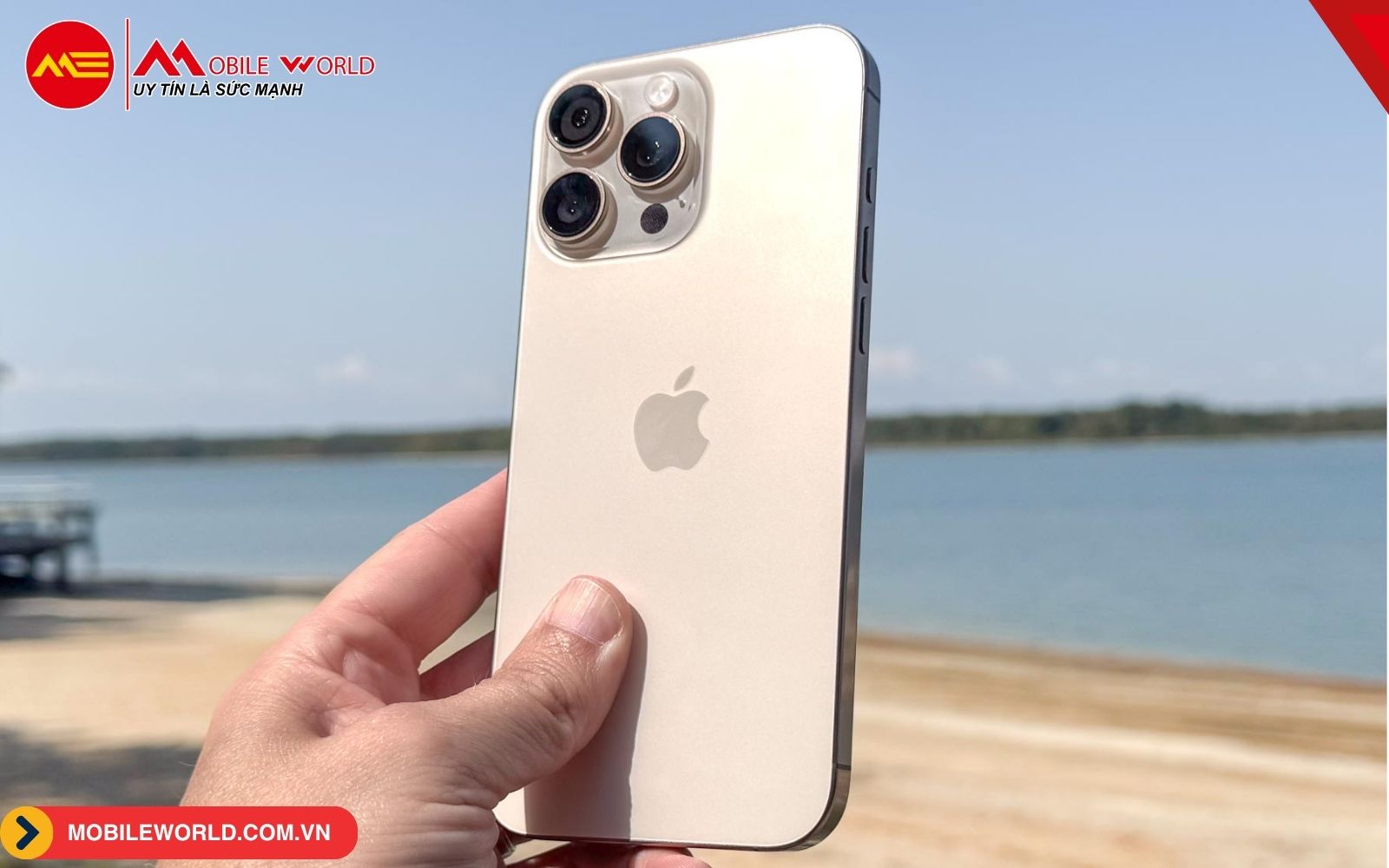 iPhone 16 Pro Max