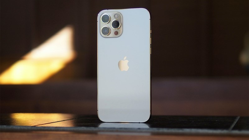 iPhone 12 Pro Max màu bạc