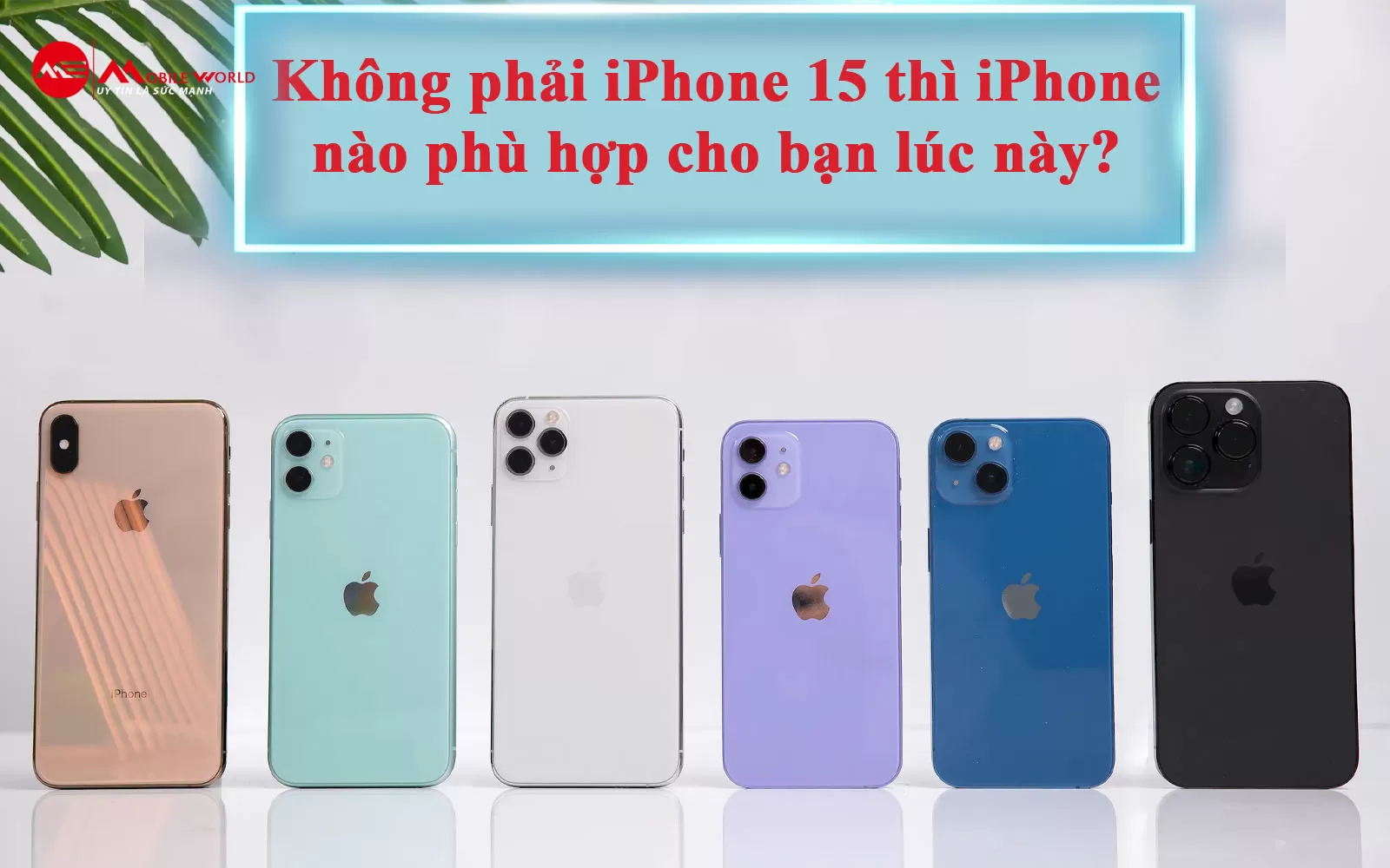 Không phải iPhone 15 thì iPhone nào phù hợp cho bạn lúc này?